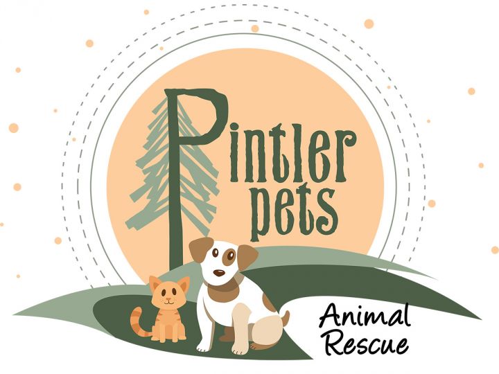 Mariners to host 'pints for paws' benefiting animal rescue shelters 