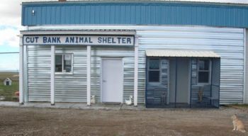 Cut Bank Animal Shelter