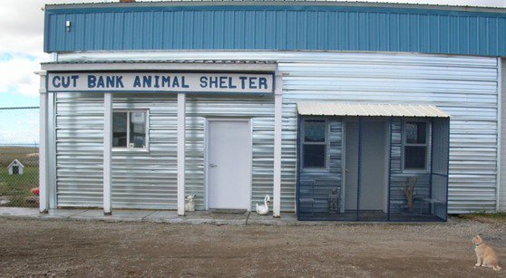 Cut Bank Animal Shelter