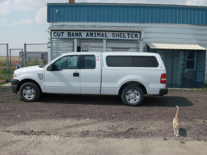 Welcome to Cut Bank Animal Shelter