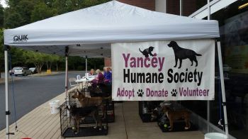 Shelter staff at one of our many adoption events.