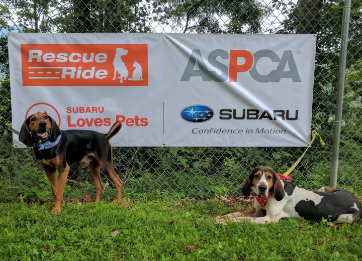 Thanks to ASPCA/Subaru Rescue Ride