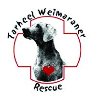 Tarheel Weimaraner Rescue