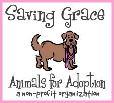 Saving Grace Animals for Adoption