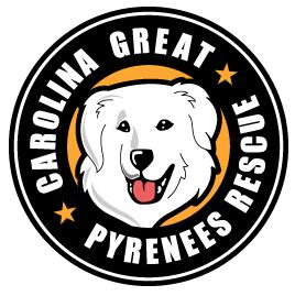 Carolina Great Pyrenees Rescue