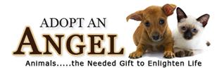 Adopt-An-ANGEL