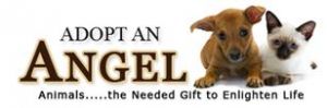 Adopt-An-ANGEL