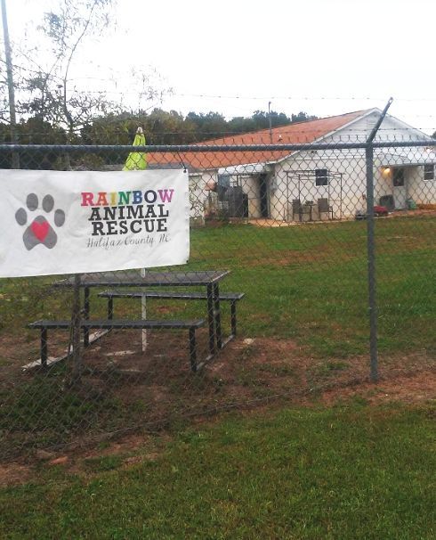 Rainbow Animal Rescue