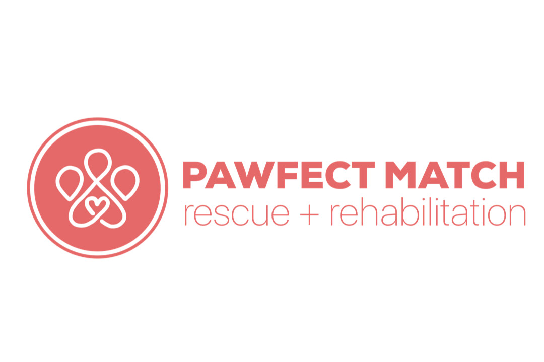PAW-fect Match Rescue