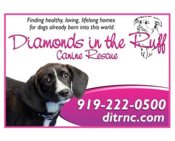 Diamonds in the Ruff Canine Rescue - Goldsboro, NC