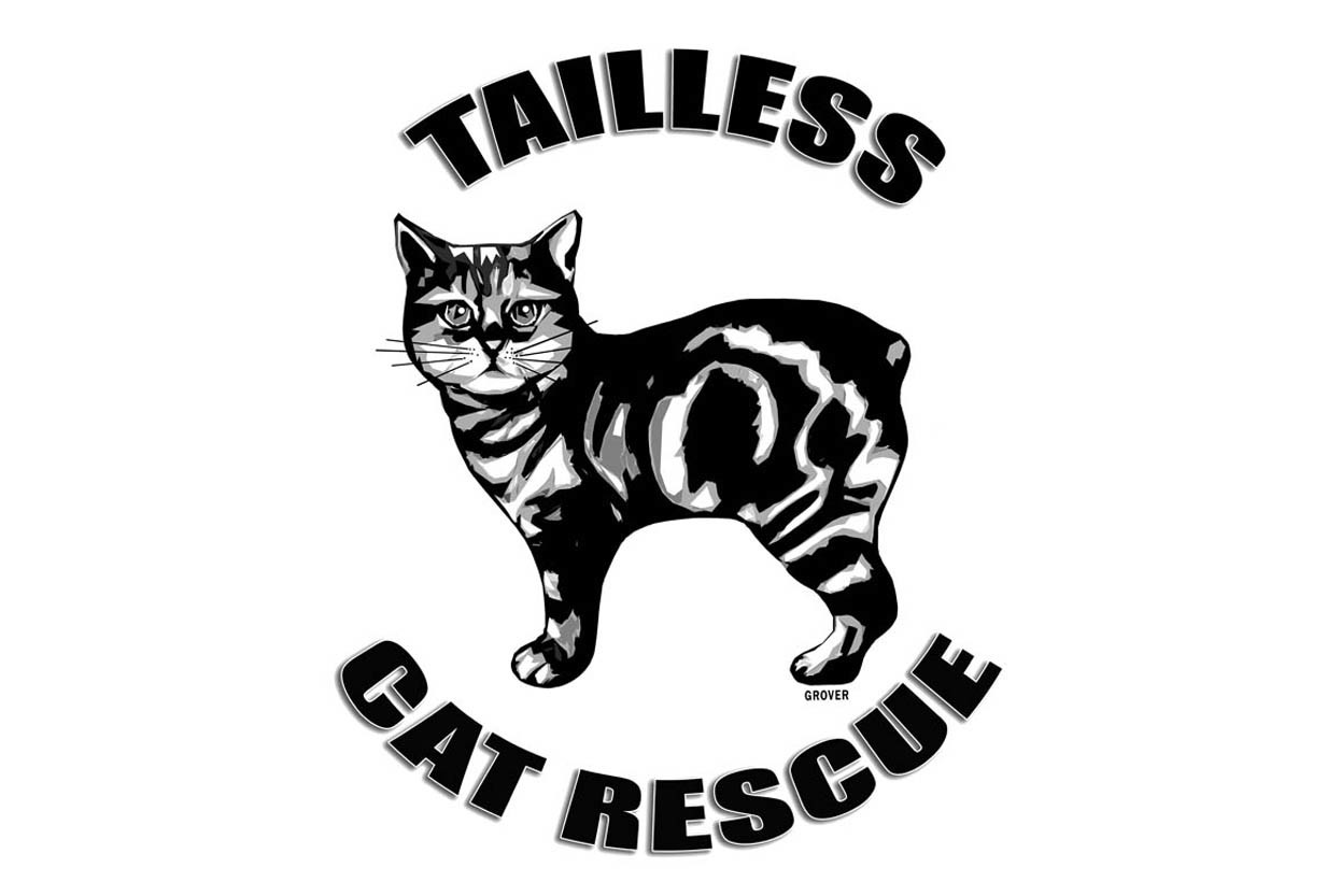 Tailless Cat Rescue