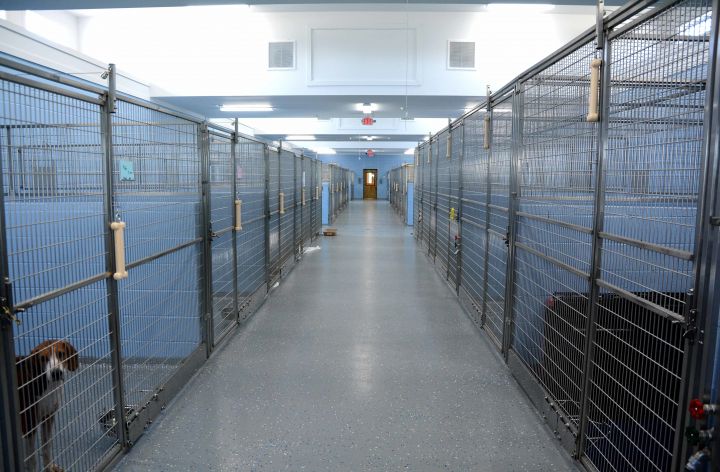 Kennels