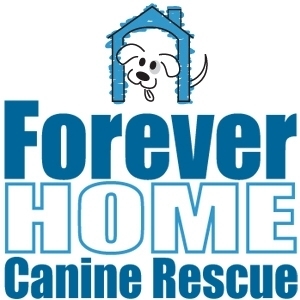 Forever Home Canine Rescue