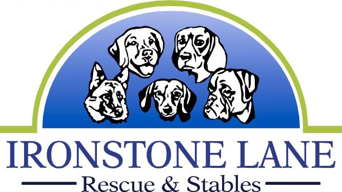 Ironstone Lane Rescue & Stables