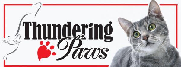 Thundering Paws Adoption Center Inc.