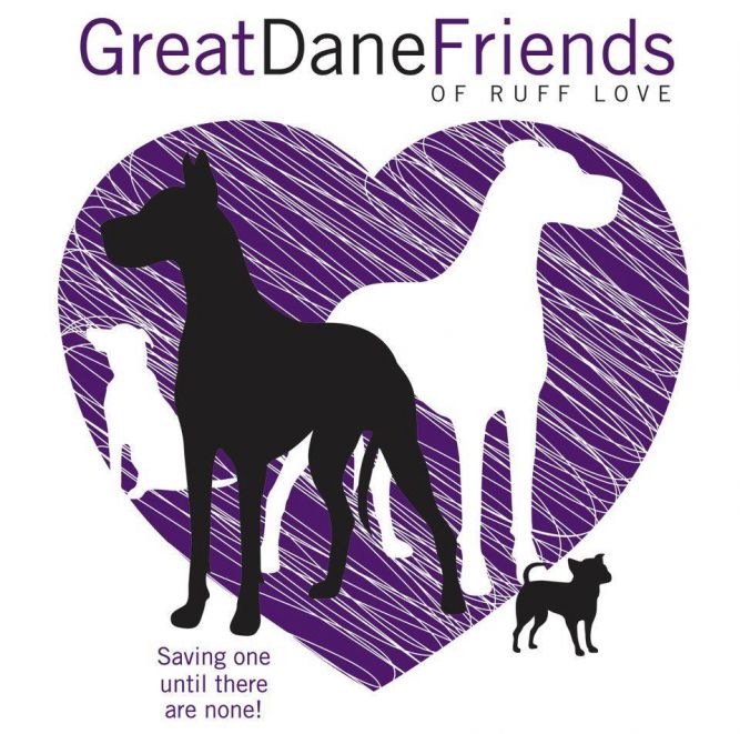 Great Dane Friends of Ruff Love