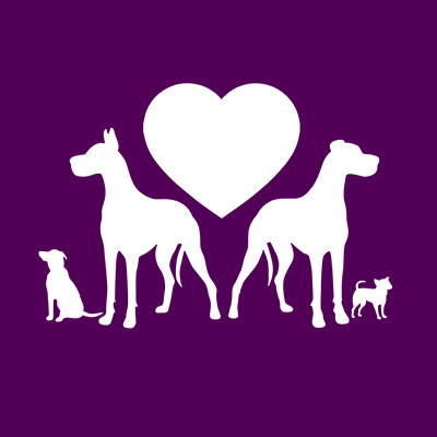 Great Dane Friends of Ruff Love - rescue