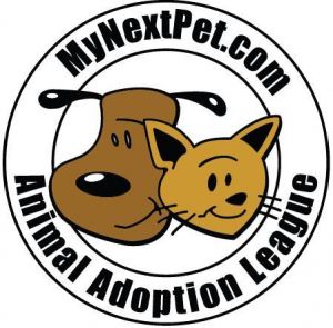 Animal Adoption League