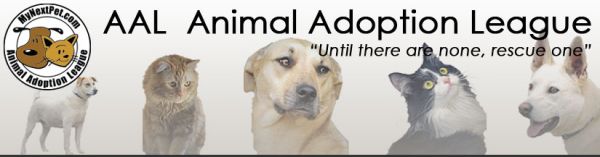 Animal Adoption League