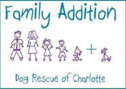 Family Addition Dog Rescue of Charlotte