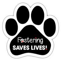 Pets for Adoption at Humane Society of Alamance County, in Burlington, NC |  Petfinder