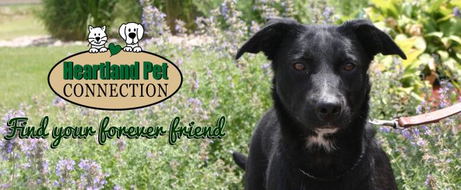 Heartland Pet Connection