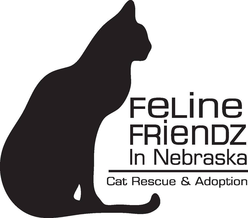 Feline Friendz in NE