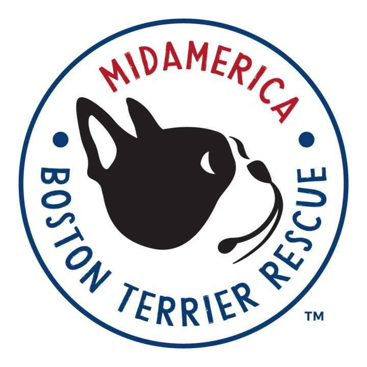 Boston deals terrier shelter