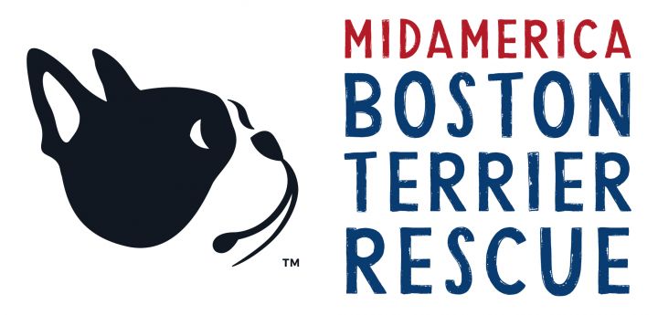 Pets for Adoption at MidAmerica Boston Terrier Rescue, in