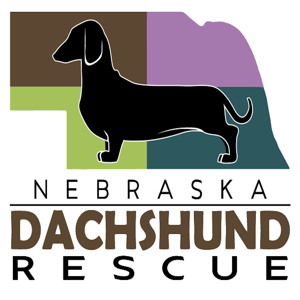 Nebraska Dachshund Rescue, in Omaha, NE 