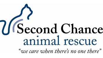 Second Chance Animal Rescue, Littleton NH
