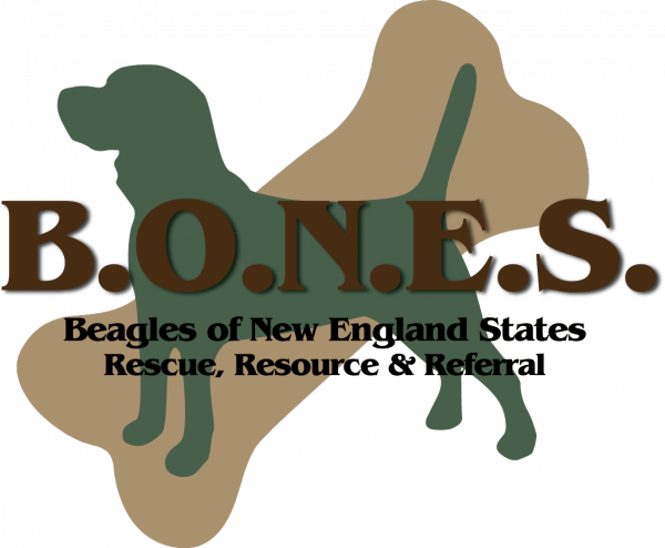 Beagles of New England States Inc. (B.O.N.E.S.), Inc.