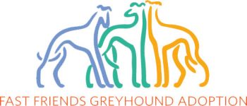 Fast Friends Greyhound Adoption