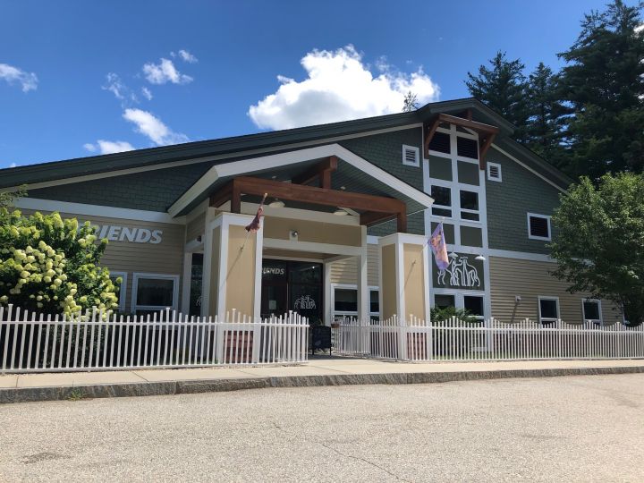 Fast Friends Greyhound Adoption