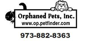 Orphaned Pets, Inc.