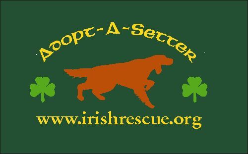 Adopt A Setter