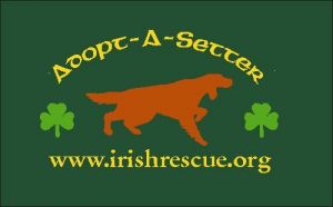 Adopt A Setter