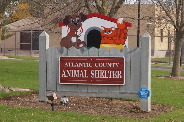 Atlantic County Animal Shelter