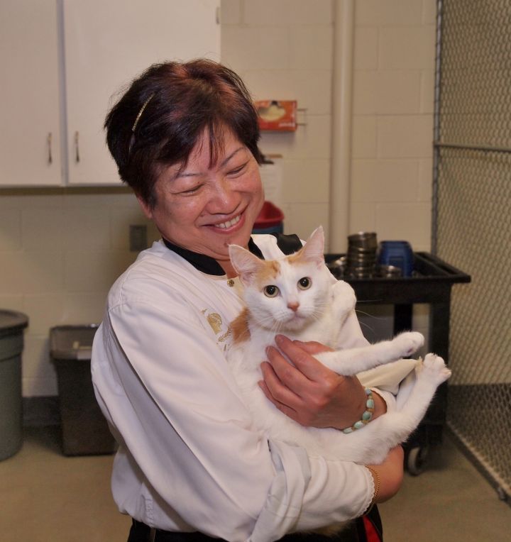 Pets for Adoption at Atlantic County Animal Shelter, in Pleasantville, NJ |  Petfinder