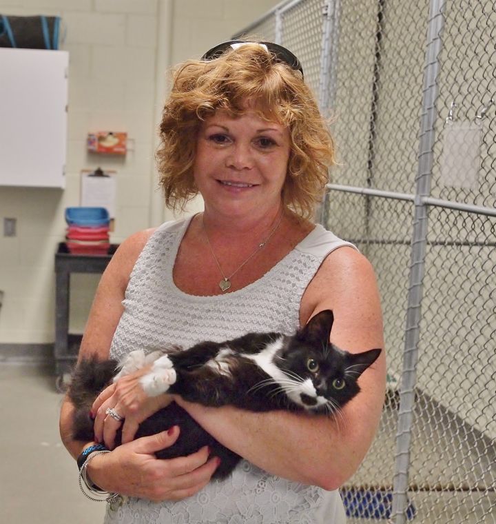 Pets for Adoption at Atlantic County Animal Shelter, in Pleasantville, NJ |  Petfinder
