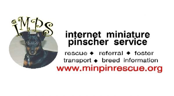 IMPS - Internet Miniature Pinscher Services Inc. -NJ/ PA region