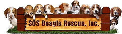 SOS Beagle Rescue-NJ