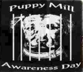 Puppy Mill Awareness Day Rescues