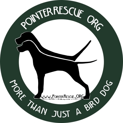 PointerRescue Org