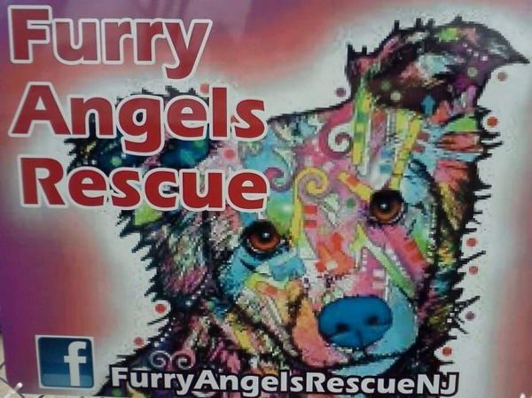 Furry Angels Rescue