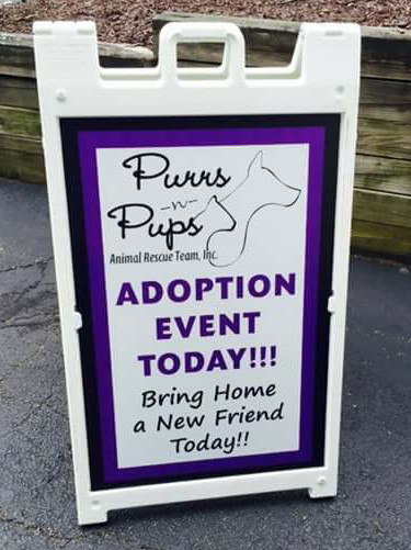 P-U-R-R-S ...N' Pups Animal Rescue Team Inc.