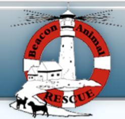 Beacon Animal Rescue