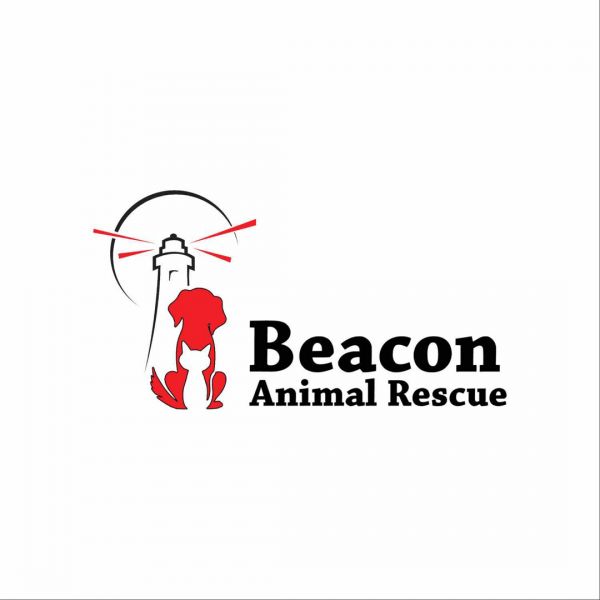 Beacon Animal Rescue