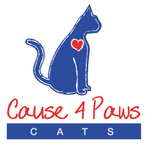 4 paws cat store rescue