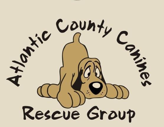 Atlantic small hot sale dog rescue